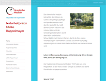 Tablet Screenshot of chinesische-medizin-salem.de